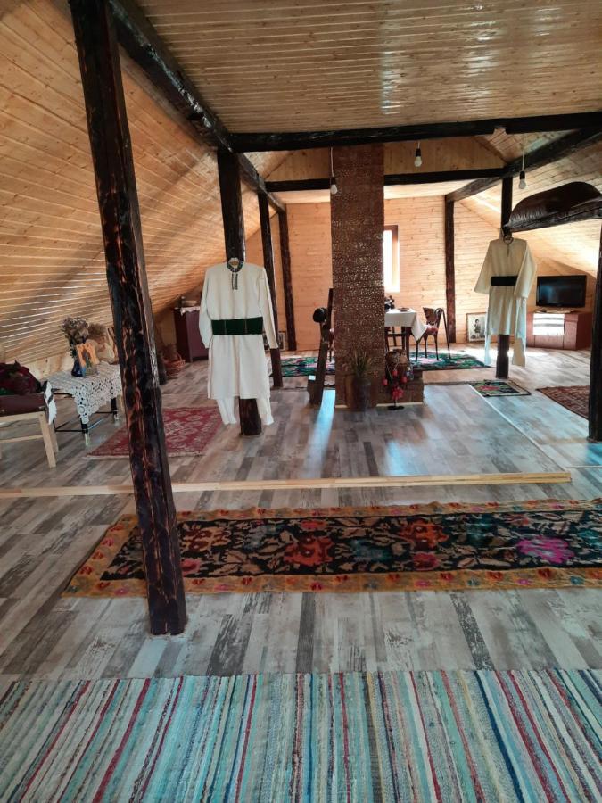 הוילה Ciprian Porumbescu Casa Bunicilor מראה חיצוני תמונה